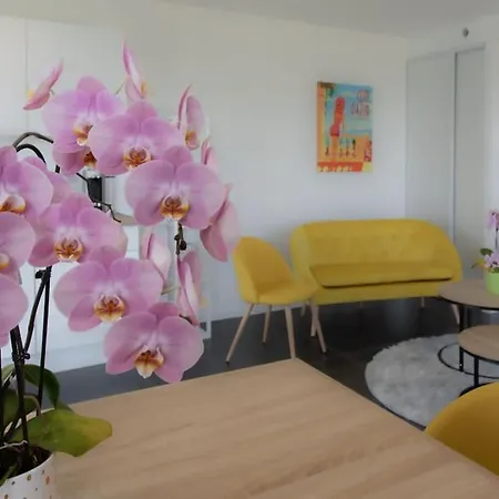 Apartment Echapee Belle - Vinayard View - Jacuzzi Bbq - Parking *